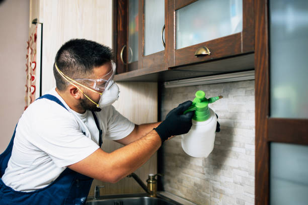 Best Affordable Pest Control Services  in Village Shires, PA