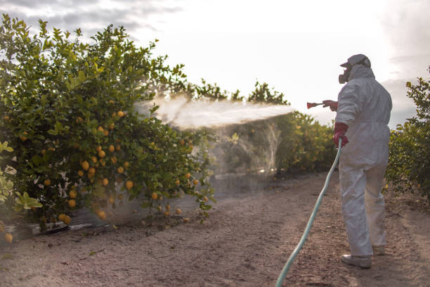 Insect Control in Village Shires, PA