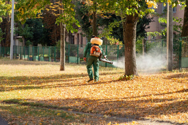 Flea Control Services in Village Shires, PA
