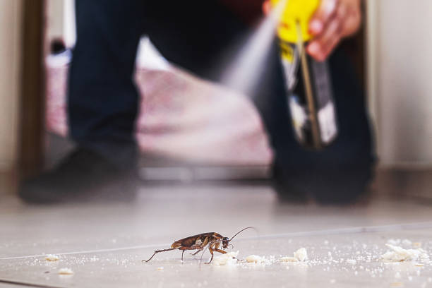 Best Mosquito Control Services  in Village Shires, PA